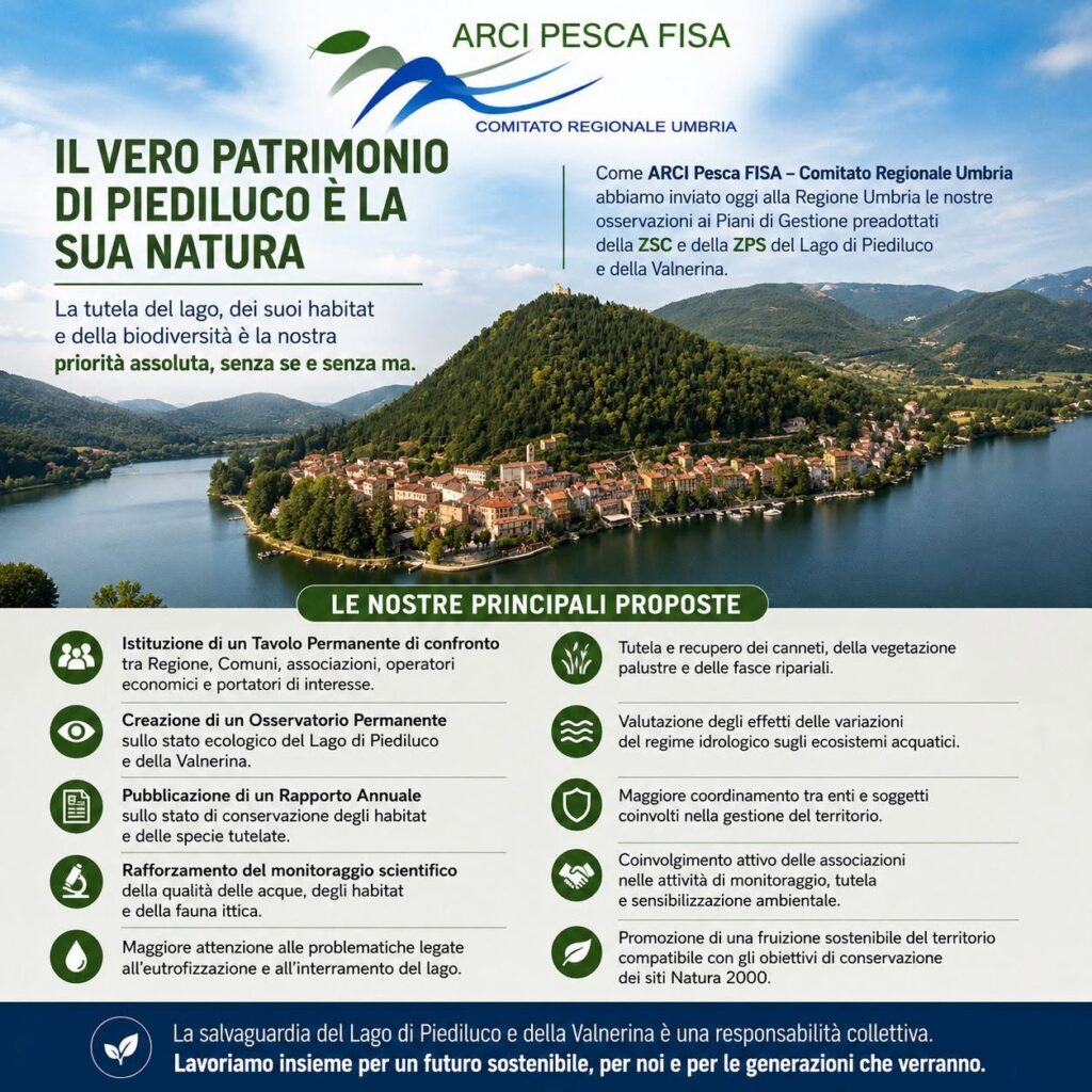 Osservazioni ai piani di gestione Lago di Piediluco 723131323 10244661093648820 1742283037375944623 n